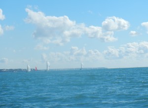 Bruno Dumas - DSCN1395            