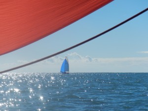 Bruno Dumas - DSCN1397            