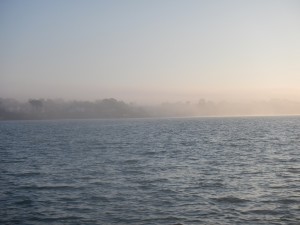 Bruno Dumas - DSCN1399            