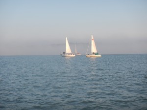 Bruno Dumas - DSCN1400            